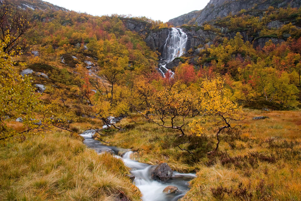 Romarheimsdalen - River